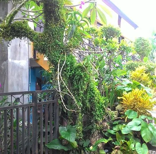 Pensión Betesda Canggu